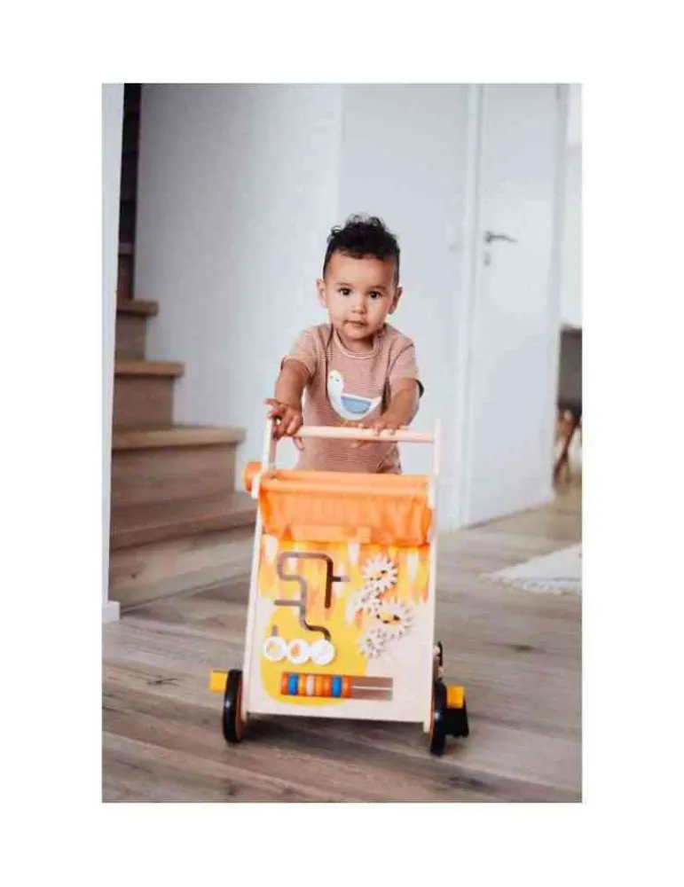 Small Foot Chariot de marche toucan en bois - jeu d'éveil Discount