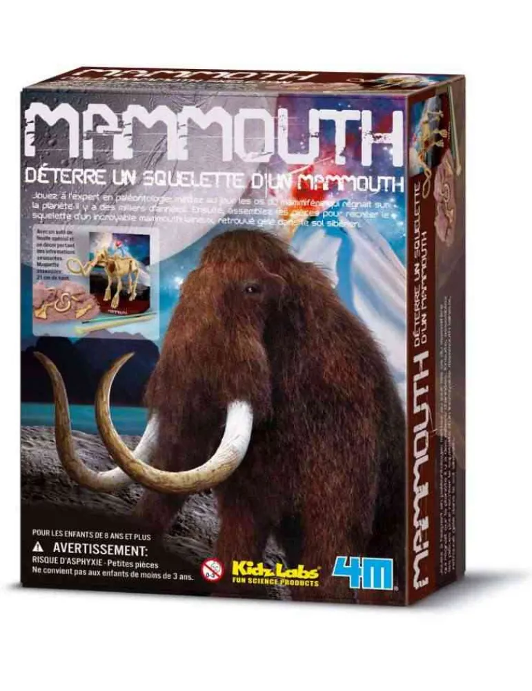 4M Mammouth - - Déterre un squelette de Mammouth - Jouet Scientifique Store