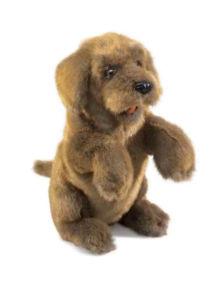 Folkmanis Peluche marionnette Chien assis Store