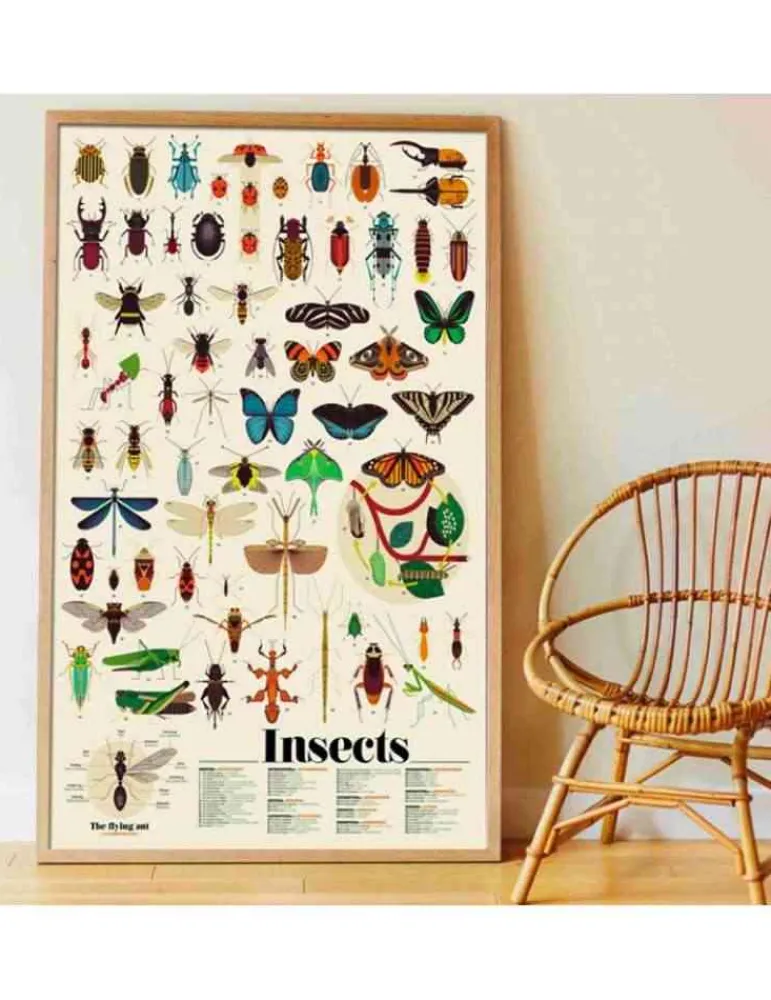 Poppik Poster Insectes Clearance