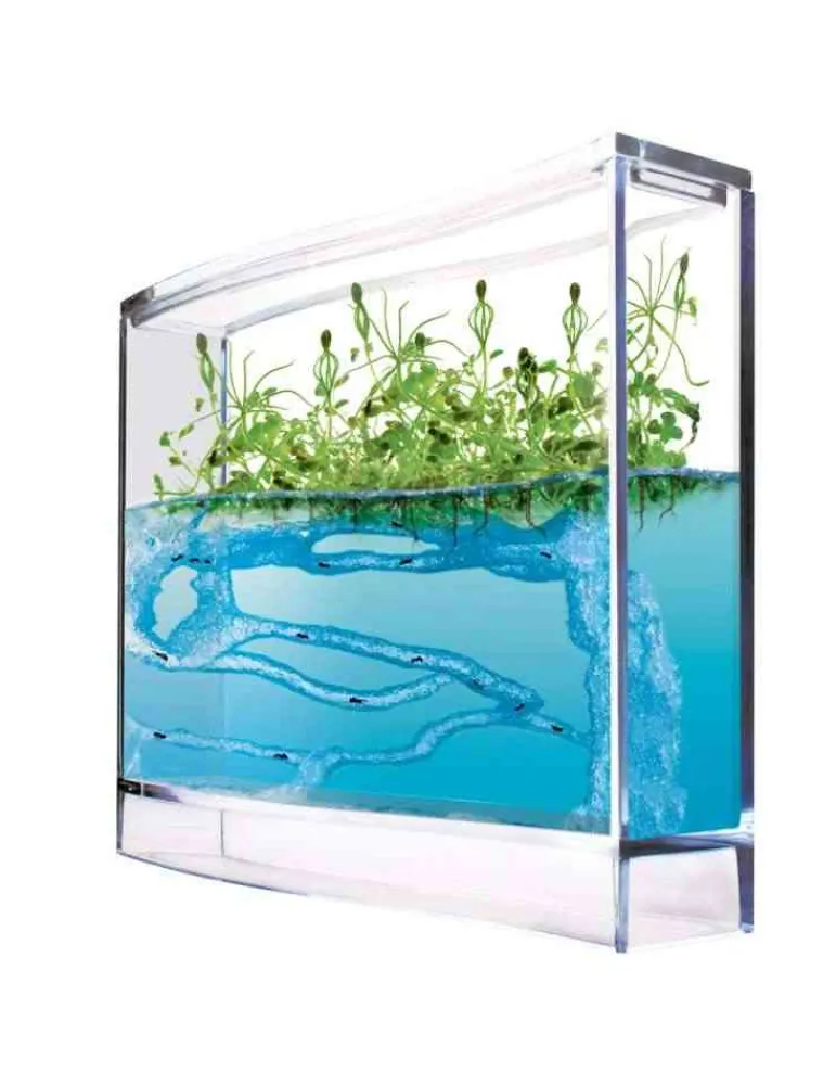 Antquarium Super Forest Ant - vivarium fourmis et plantes - jouet scientifique New
