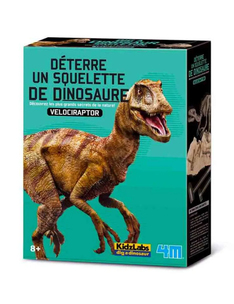 4M Velociraptor Déterre ton Dinosaure - Jouet Scientifique Hot